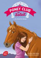 5, Le poney Club du soleil - Tome 5 - Un cheval en danger