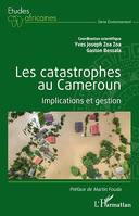 Les catastrophes au Cameroun, Implications et gestion