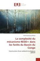 La complexité du mécanisme REDD+ dans les forêts du Bassin du Congo, Construction d'une solidarité écologique globale