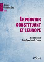 Le pouvoir constituant et l'Europe, Thèmes et commentaires