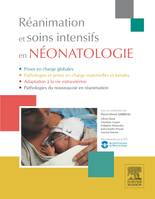 Réanimation et soins intensifs en néonatologie, Diagnostic anténatal et prise en charge spécialisée