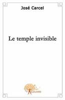 Le temple invisible, roman initiatique, quête, vérité