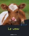 Le veau, Qui es tu ?