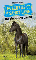 7, Les écuries de Sandy Lane - numéro 7 Un cheval en cavale