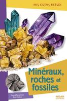 MINERAUX, ROCHES ET FOSSILES