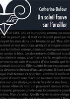 Un soleil fauve sur l'oreiller