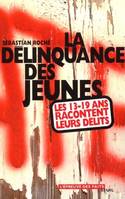 La Délinquance des jeunes. Les 13-19 ans racontent leurs délits, les 13-19 ans racontent leurs délits