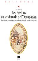 Les Bretons au lendemain de l'Occupation, Imaginaire et comportement d'une sortie de guerre (1944-1945)