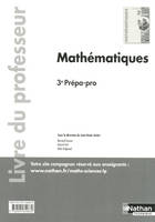 Mathématiques 3ème prépa-pro - professeur - 2016