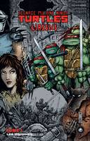 1, Teenage mutant ninja Turtles, Les origines