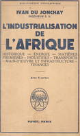 L'industrialisation de l'Afrique, Historique, énergie, matières premières, industries, transports, main-d'œuvre et infrastructure, finances