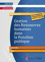 Gestion des ressources humaines dans la fonction publique, Catégories a+, a et b