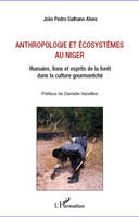 Anthropologie et écosystèmes au Niger, Humains, lions et esprits de la forêt dans la culture gourmantché