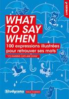 What to say when, 100 expressions illustrées pour retrouver ses mots