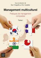 Management multiculturel, 1, Pratiques de management comparées, Pratiques de management comparées
