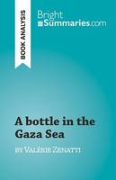 A bottle in the Gaza Sea, by Valérie Zenatti