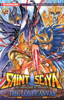 Saint-Seiya, 12, Saint Seiya - The Lost Canvas - La légende d'Hades - tome 12, les chevaliers du zodiaque