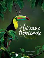 Les oiseaux tropicaux, Vifs et singuliers