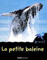 La petite baleine