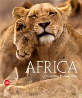 Africa: Discovering Wildlife Parks /anglais