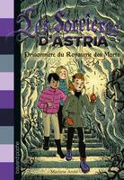 4, Les sorcières d'Astria, Tome 04, Prisionnère du royaume des morts