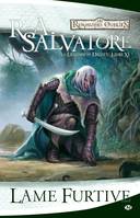 La Légende de Drizzt, T11 : Lame furtive, Volume 11, Lame furtive