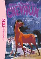 23, Mes amis les chevaux / Le courage de Féline / Ma première bibliothèque rose