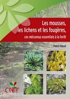 Les mousses, les lichens et les fougères, Ces méconnus essentiels à la forêt