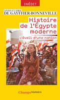 Histoire de l'Égypte moderne, L'éveil d'une nation (XIXe - XXIe siècle)