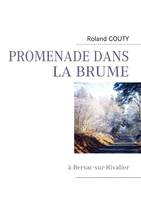 PROMENADE DANS LA BRUME, Bersac-sur-Rivalier