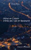 Mihaï et Cosmin frères des rues en Roumanie, A partir de 11 ans