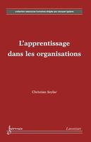 L'apprentissage dans les organisations