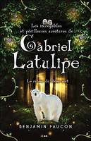 3, Les incroyables et périlleuses aventures de Gabriel Latulipe T3 - Le retour du chêne vert