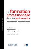 La formation professionnelle dans les services publics, Nouveaux enjeux, nouvelles pratiques