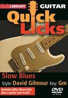 Quick Licks - Slow Blues David Gilmour