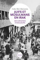 Juifs et musulmans en Irak, Des origines a nos jours