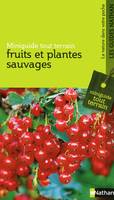 FRUITS ET PLANTES SAUVAGES - MINIGUIDE TOUT TERRAI