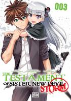 3, The Testament of sister new devil storm T03