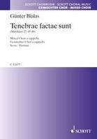 Tenebrae factae sunt, (Mathew 27,45-46). mixed choir (SATB). Partition de chœur.