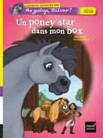 Au galop, Silver !, Un poney star dans mon box