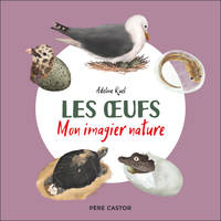 Les oeufs, Mon imagier nature