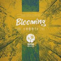 LP / Blooming #2 / Faygo