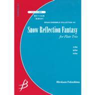 Snow Reflection Fantasy