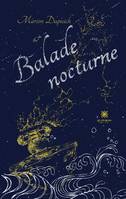 Balade nocturne