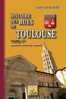 1, Histoire des rues de Toulouse, Monuments, institutions, habitants