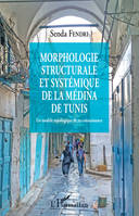 Morphologie structurale et systémique de la médina de Tunis, Un modèle topologique de re-connaissance