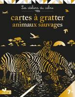 Cartes à gratter animaux sauvages - pochette avec accessoires