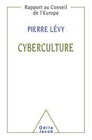 Cyberculture, Rapport au Conseil de l'Europe