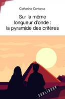 SUR LA MEME LONGUEUR D ONDE : LA PYRAMIDE DES CRITERES