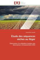 Étude des séquences sèches au Niger, Élaboration d'un Modèle d'analyse des descripteurs intrasaisonniers (DIS)